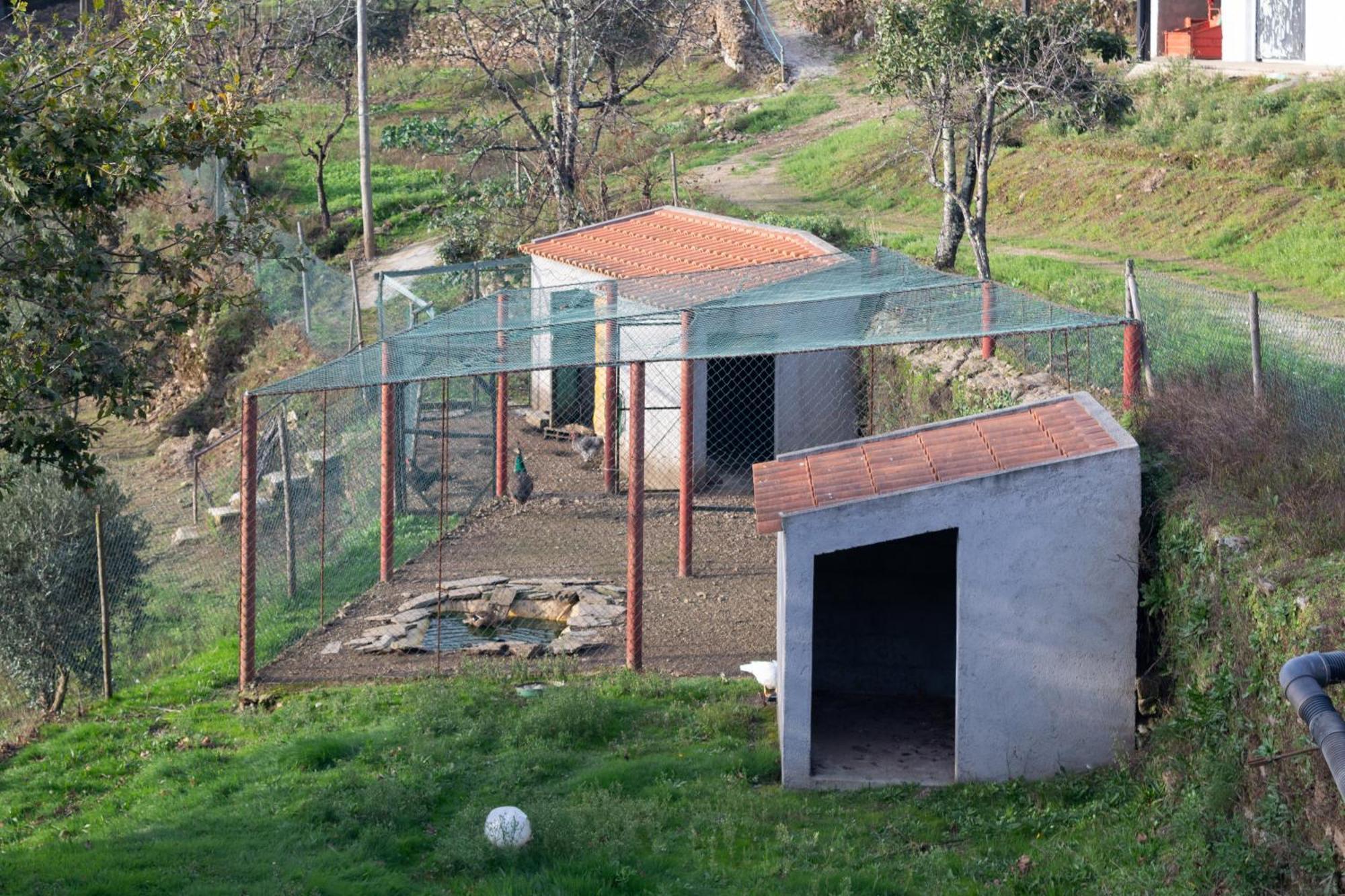 Ecofurtado Villa Eksteriør bilde